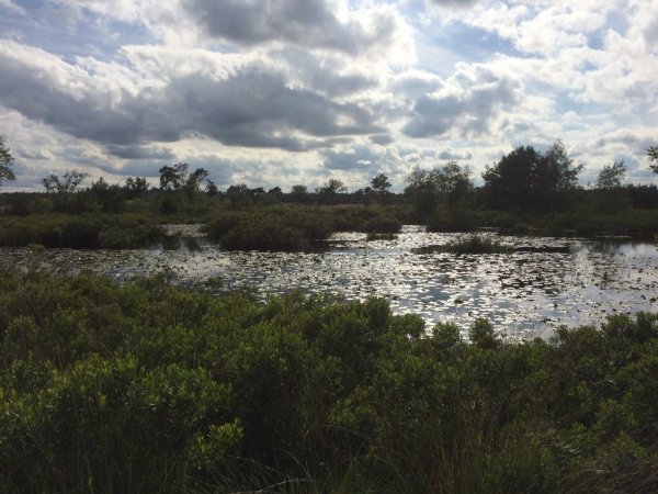 Malpi, ein sehr schönes Naturgebiet, herrlich zum wandern oder mit dem Fahrrad